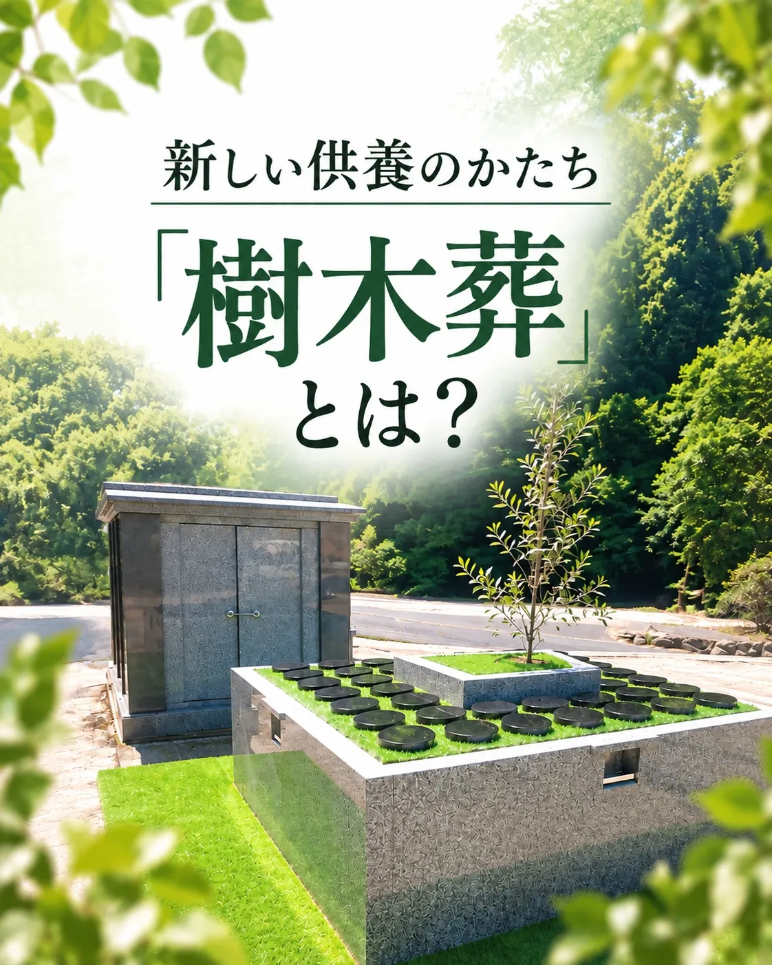 🌿新しい供養のかたち「樹木葬」をご存知ですか？