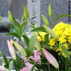 サービス